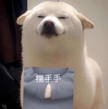 iOS安卓漫畫黨必備！這些神器免費(fèi)無(wú)廣告，全網(wǎng)漫畫隨便看（漫畫很全又免費(fèi)的ios軟件）