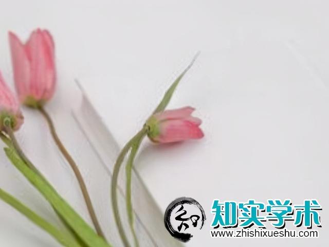 出書相當于出論文嗎？參評人是選出書還是出論文（出書算不算學術(shù)成果）