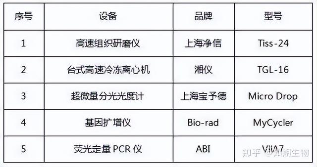 qPCR實驗方法及檢測報告模板（qpcr實驗步驟詳細）