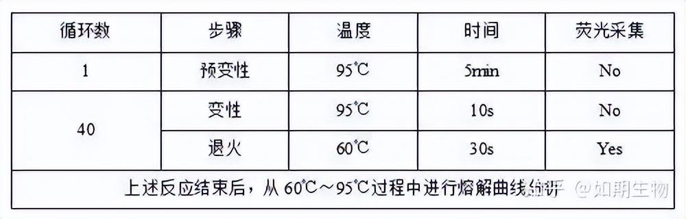 qPCR實驗方法及檢測報告模板（qpcr實驗步驟詳細）