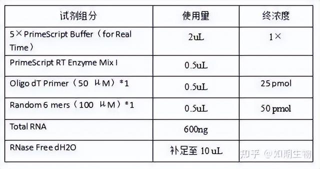 qPCR實驗方法及檢測報告模板（qpcr實驗步驟詳細）
