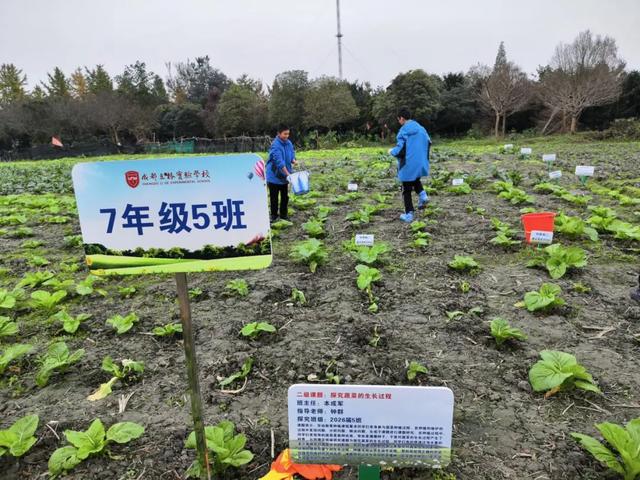 用課題研究的方式對(duì)話春天，立格實(shí)驗(yàn)這堂“課”不一般！（一）