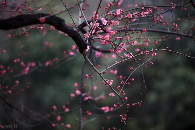 又要開(kāi)始填報(bào)內(nèi)控報(bào)告了，報(bào)告需要的佐證材料該如何準(zhǔn)備？（內(nèi)控報(bào)告佐證材料范本）