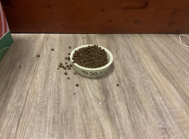 我們測了全網(wǎng)呼聲最高的幾款家政App，過年掃除就別瞎忙活了（家政平臺app哪個好）